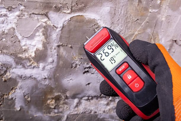 Best Insurance-Related Mold Remediation in Laverne, OK